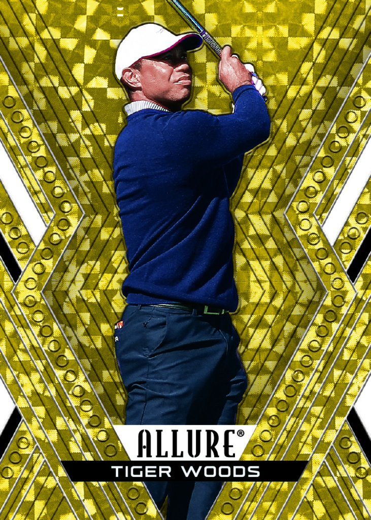 Tiger Woods in a dark blue shirt surrounded by a gold patterned Allure frame.